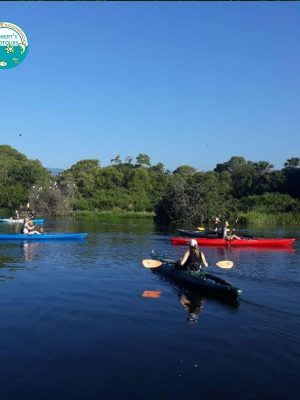 Kayaking Mangroves Adventures