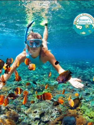 Snorkeling Tour