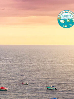 Sunset Cruise Boat Tour 1-5 persons