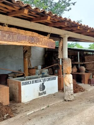 Mezcal an coffe Tour