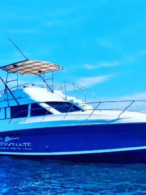 Yacht Sun set Cruise