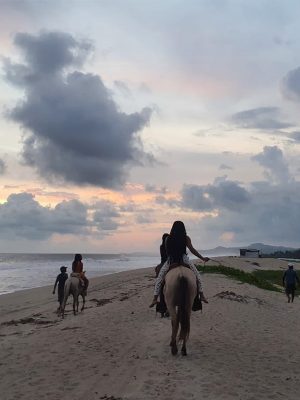 Horseback Riding on the Beach and Sun Set