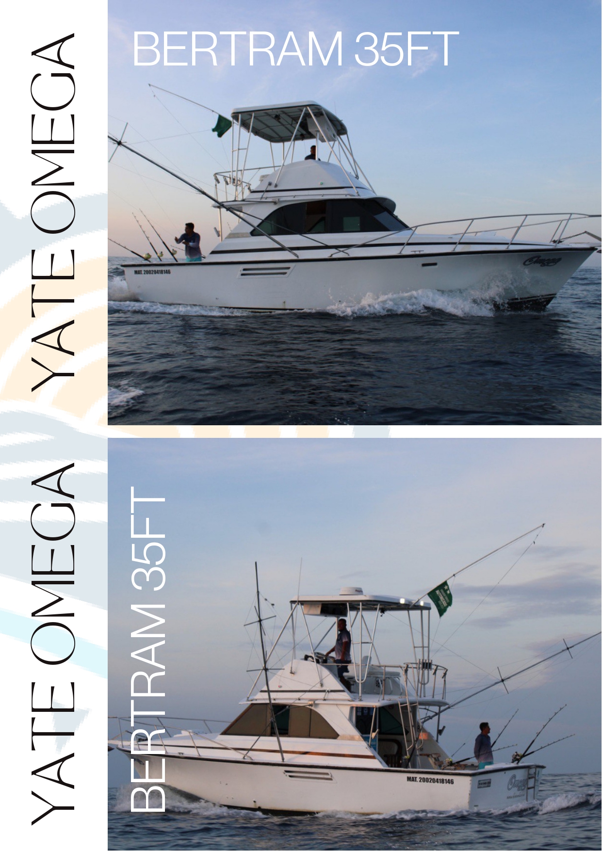 Bertram 35ft Yate Omega_page-0005